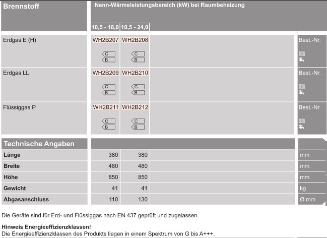 Vitopend 200-W